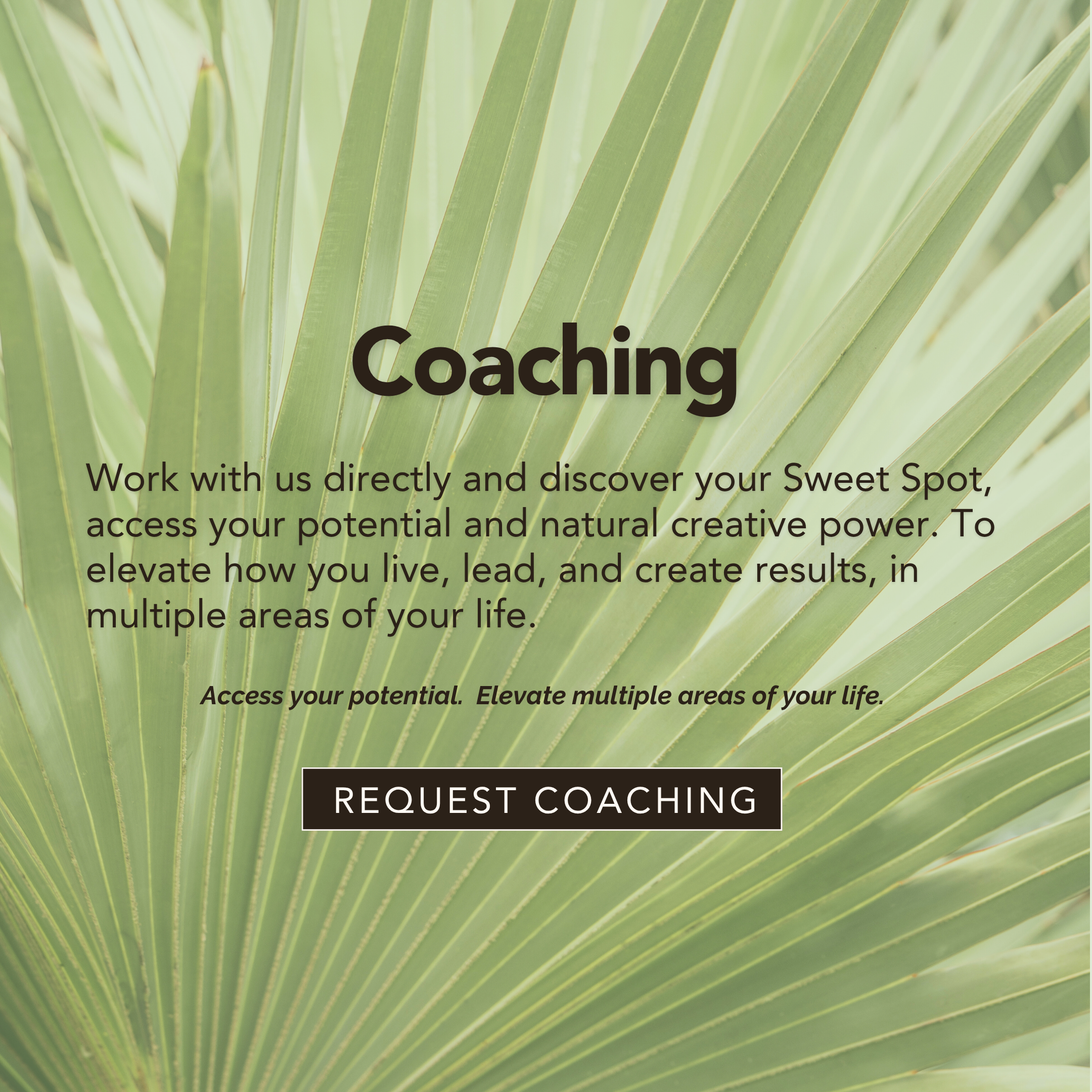 E.Y.E Branding Square Shape